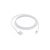 APPLE Lightning to USB cable (1 m)