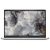 DELL Pro 16 Plus (PB16250) 16.0" FHD+, Intel Core 5 120U (5.0GHz), 16GB, 512GB SSD, Linux