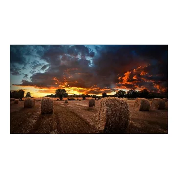   Samsung  Videofal kijelző 55" VM55B-U 24/7, Tizen, FHD, 500